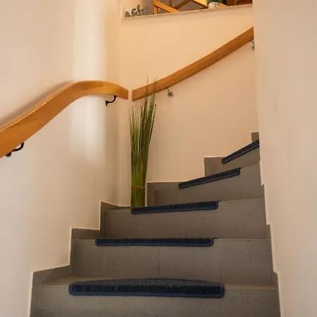 Haus Figaro Mit Hund Schillig