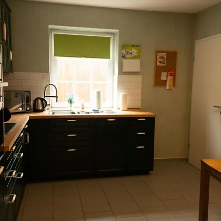 Haus Figaro Mit Hund シリヒ